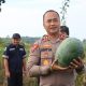 Polres Bangka Barat Panen 15 Ton Semangka