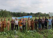 Polres Bangka Barat Ubah Lahan Kritis Jadi Lautan Semangka