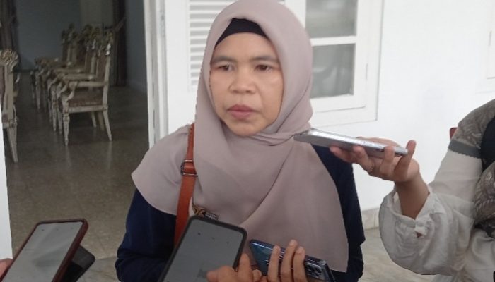 Cakupan Sensus Ekonomi Lebih Luas