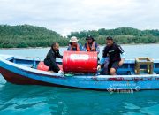 PT Timah Tebar Ratusan Ribu Anakan Cumi di Perairan Bangka