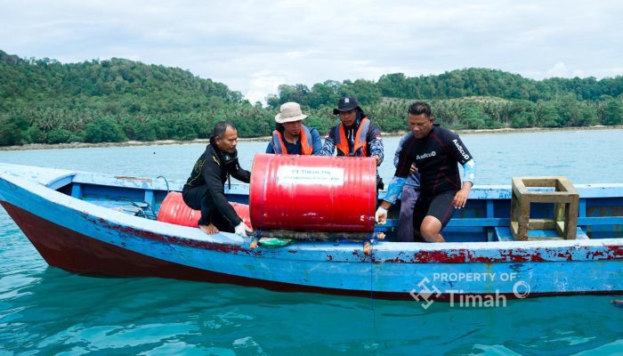 PT Timah Tebar Ratusan Ribu Anakan Cumi di Perairan Bangka