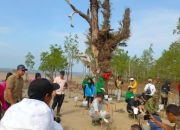 Tanam Bibit Pohon Mangrove di Pantai Ranggam