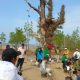 Tanam Bibit Pohon Mangrove di Pantai Ranggam