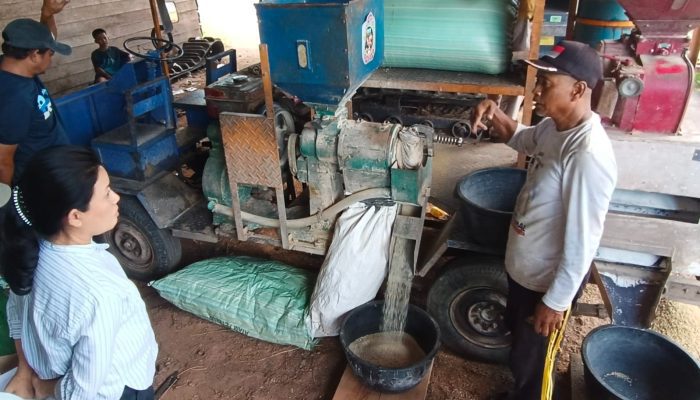 Sektor Pertanian di Desa Rias Butuh Penenganan Segera