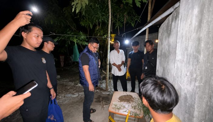 Pemuda di Koba Ditangkap Gegara Ganja