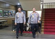 Dua Kapolda Perkuat Sinergi Berantas Penyelundupan Timah Ilegal
