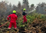Kerahkan Personel Fire Fighter Tangani Karhutla