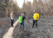 Sekitar 20 Hektare Lahan Terbakar