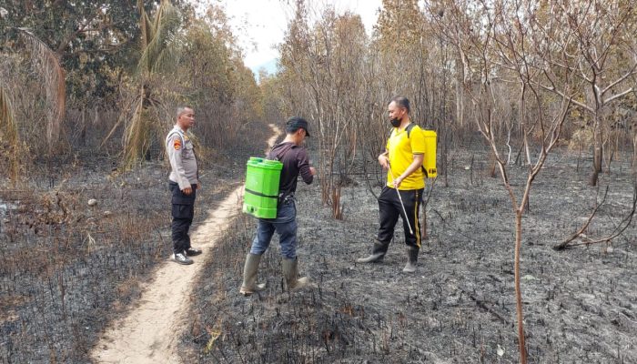 Sekitar 20 Hektare Lahan Terbakar
