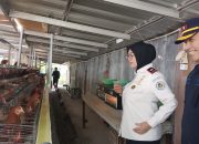 Rutan Mentok Produksi 300 Butir Telur Per Hari