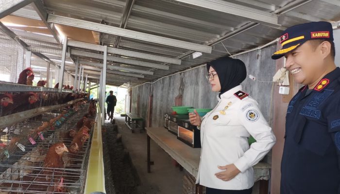 Rutan Mentok Produksi 300 Butir Telur Per Hari