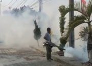 Fogging di Lingkungan Kantor Cegah Demam Berdarah