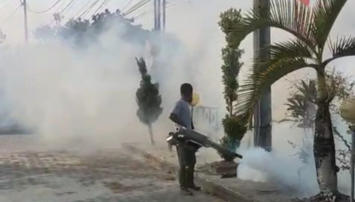 Fogging di Lingkungan Kantor Cegah Demam Berdarah