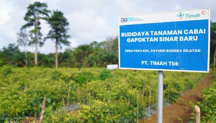 PT TIMAH Dukung Ketahanan Pangan di Wilayah Operasional