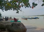 Kedaulatan Negara Harus Dikembalikan Melalui PT Timah
