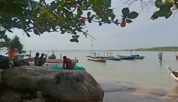 Kedaulatan Negara Harus Dikembalikan Melalui PT Timah